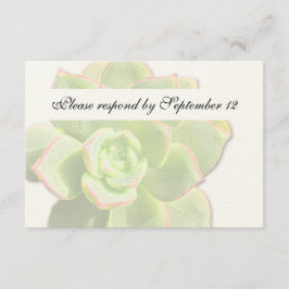 Doorschijnend groen Succulent  rsvp Kaartje