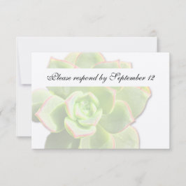 Doorschijnend groen Succulent  rsvp Kaartje
