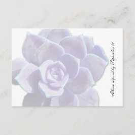 Doorschijnend Lila Succulent  Rsvp Kaartje