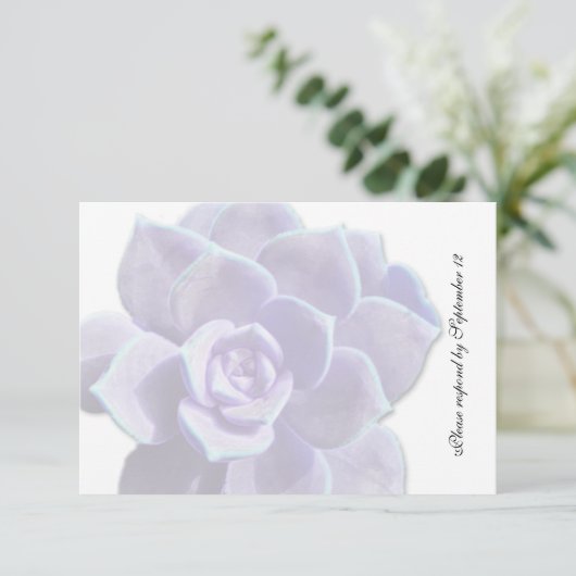 Doorschijnend Lila Succulent  Rsvp Kaartje (Staand voorkant)