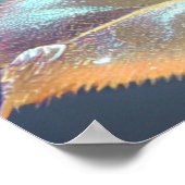 Doorschijnend Roos - Geel Poster (Hoek)