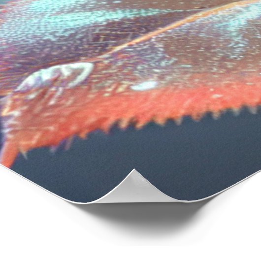 Doorschijnend Roos - Peach Poster (Hoek)