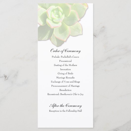 Doorschijnend succulent wit huwelijksprogramma programmakaart (Achterkant)