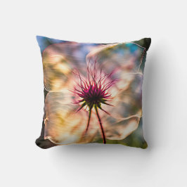 Doorschijnende bloem in zonlicht kussen