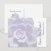 Doorschijnende Lila succulent save the date Aankondigingskaart (Voorkant / Achterkant)