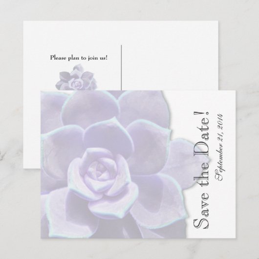 Doorschijnende Lila succulent save the date Aankondigingskaart (Voorkant / Achterkant)