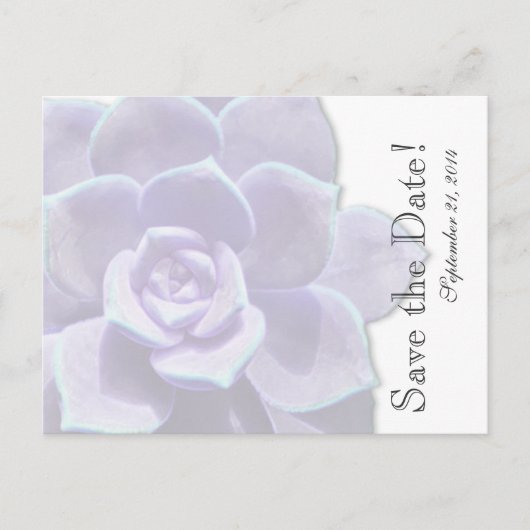 Doorschijnende Lila succulent save the date Aankondigingskaart (Voorkant)