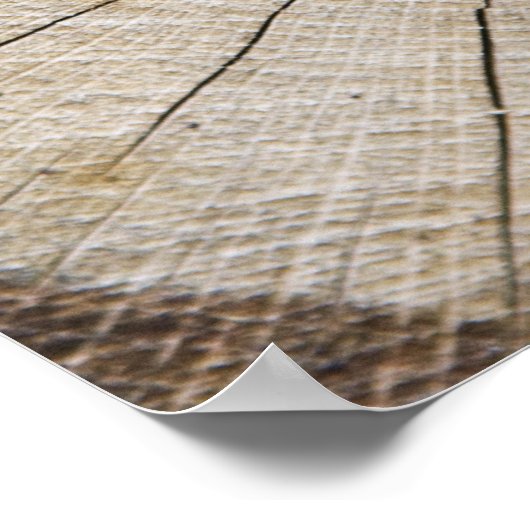 Doorsnede boomstam poster (Hoek)