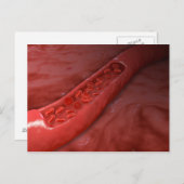 Doorsnede van de batterij met rode bloedcellen briefkaart (Voorkant / Achterkant)