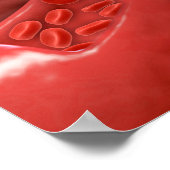 Doorsnede van de batterij met rode bloedcellen poster (Hoek)