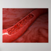 Doorsnede van de batterij met rode bloedcellen poster (Voorkant)