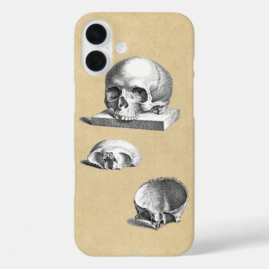 doorsnede van de schedelanatomie van de mens Case-Mate iPhone case (Achterkant)