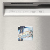 Doorsnede van het ruimtevaartstation op zonne-ener magneet (Insitu (Vaatwasser))