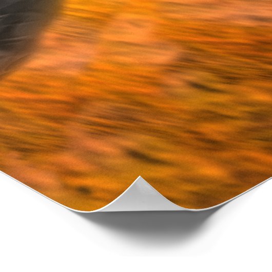 Doorsnede vulkaan poster (Hoek)