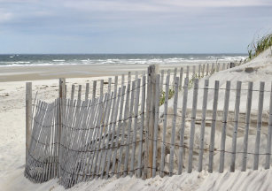Wallpaper Zand Duinen Kunst Posters En Afdrukken Zazzle Nl Free