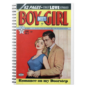 Doorstap - Retrostrips -  strips - Pop kunst Notitieboek