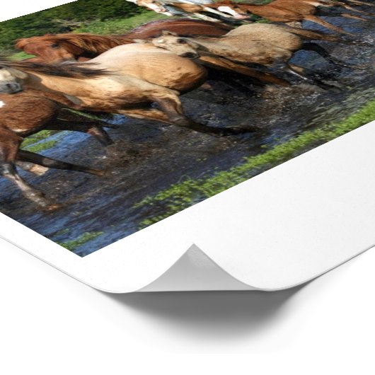 Doortocht Poster (Hoek)