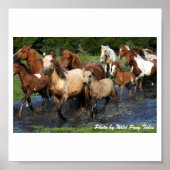 Doortocht Poster (Voorkant)