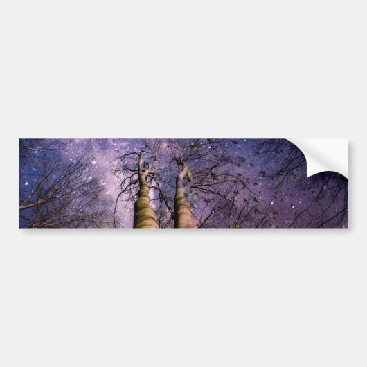 Doorverwezen bos bumpersticker (Voorkant)