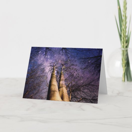 Doorverwezen bos kaart (Voorkant)