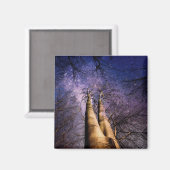 Doorverwezen bos magneet (Voorkant / Achterkant)