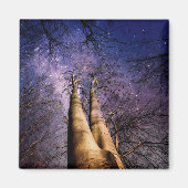 Doorverwezen bos magneet (Voorkant)