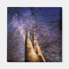 Doorverwezen bos magneet