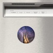 Doorverwezen bos magneet (Insitu (Vaatwasser))