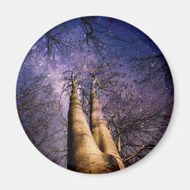 Doorverwezen bos magneet