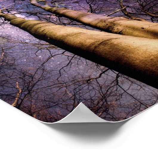 Doorverwezen bos poster (Hoek)