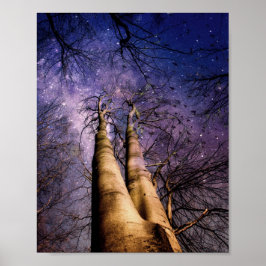 Doorverwezen bos poster