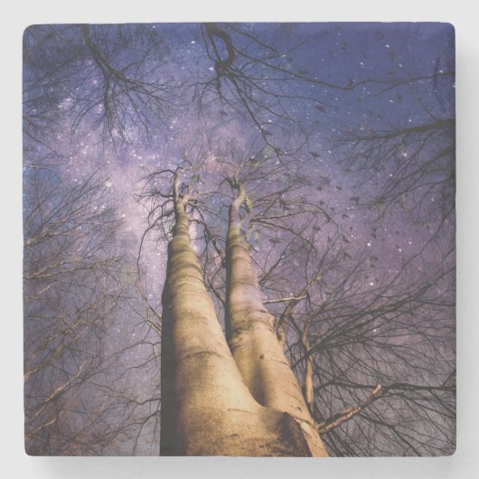 Doorverwezen bos stenen onderzetter (Voorkant)