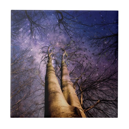 Doorverwezen bos tegeltje (Voorkant)