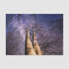 Doorverwezen bos tissuepapier