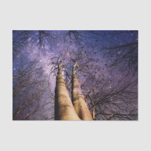 Doorverwezen bos tissuepapier (Voorkant)