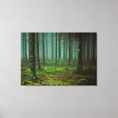 Doorverwezen Bossen Canvas Afdruk (Voorkant)