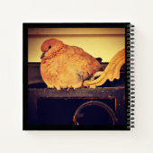 Doorzending Notitieboek (Achterkant)