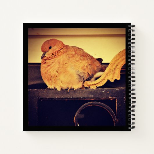 Doorzending Notitieboek (Achterkant)