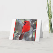 Doorzettingskardinaal in een Snowstorm Note Kaart (Achterkant)