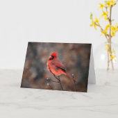 Doorzettingskardinaal in een Snowstorm Note Kaart (Gele Bloem)