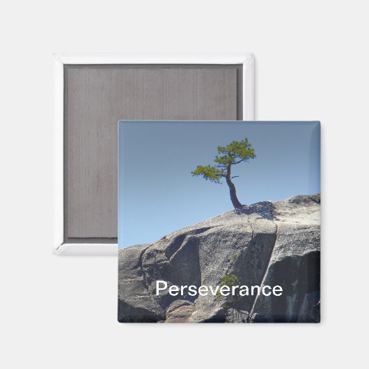 Doorzettingsvermogen ~ Magneet (Voorkant / Achterkant)