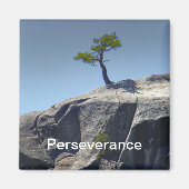 Doorzettingsvermogen ~ Magneet (Voorkant)