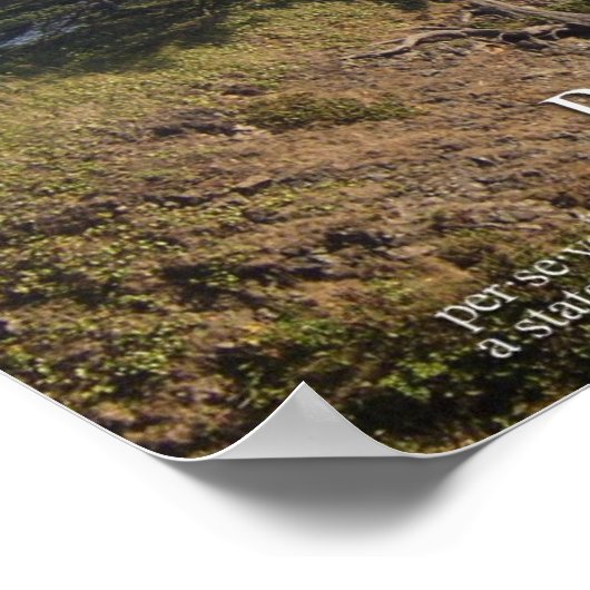 doorzettingsvermogen poster (Hoek)