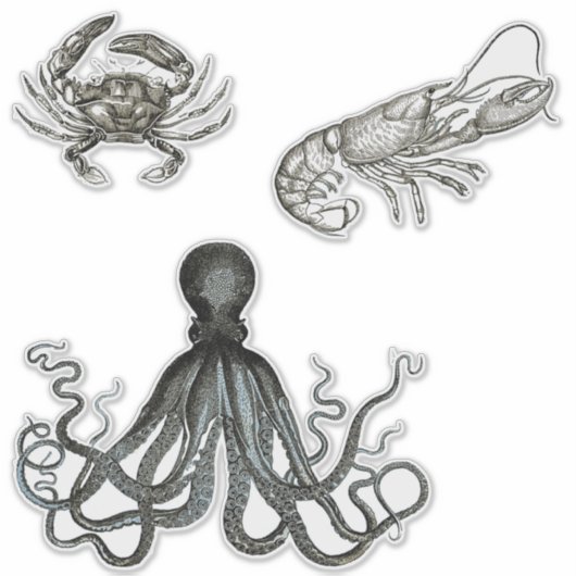 Doorzichtige vinylstickers van zeedieren sticker (Voorkant)