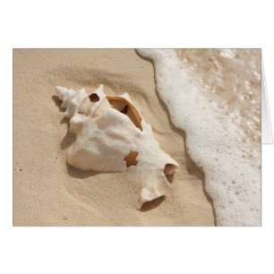 Doorzoeken op strand Grand Turk Caribbean Island