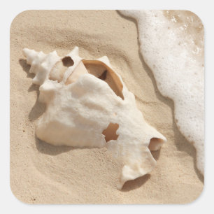 Doorzoeken op strand Grand Turk Caribbean Island Vierkante Sticker