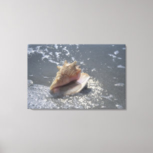 Doorzoeken op strand   Sanibel Island, Florida Canvas Afdruk