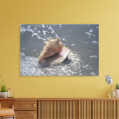 Doorzoeken op strand | Sanibel Island, Florida Canvas Afdruk (Insitu (Woonkamer))