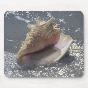 Doorzoeken op strand   Sanibel Island, Florida Muismat