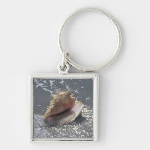 Doorzoeken op strand Sanibel Island, Florida Sleutelhanger